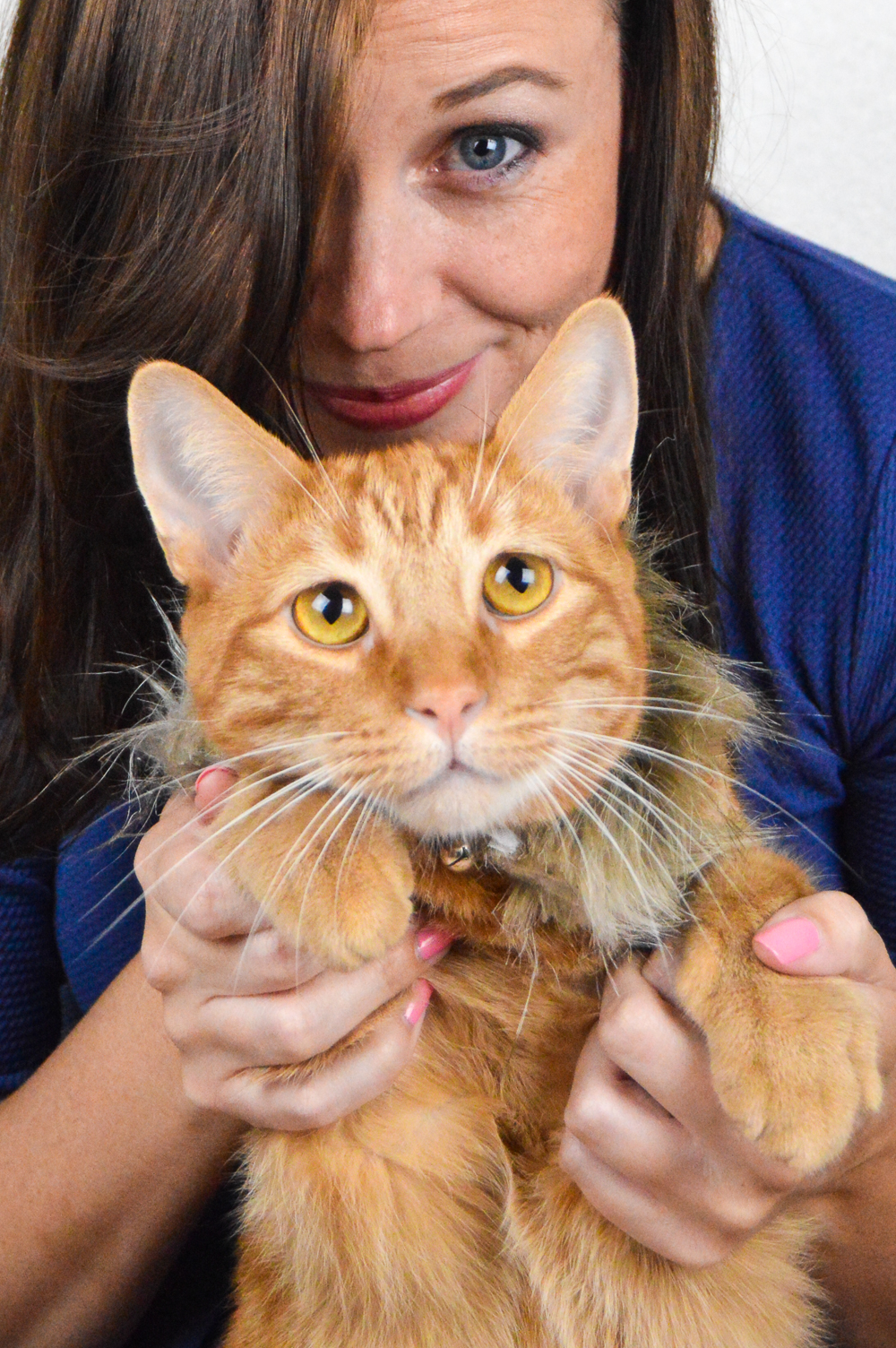 DIY Lion Mane Cat Costume | Club Crafted