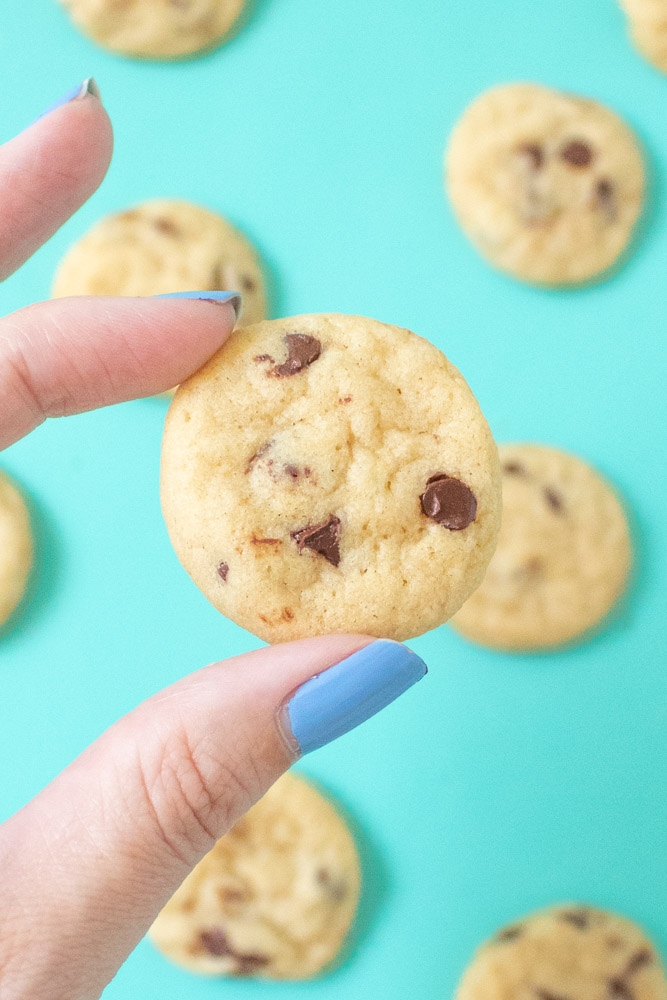 Itty Bitty Mini Chocolate Chip Cookies | Club Crafted