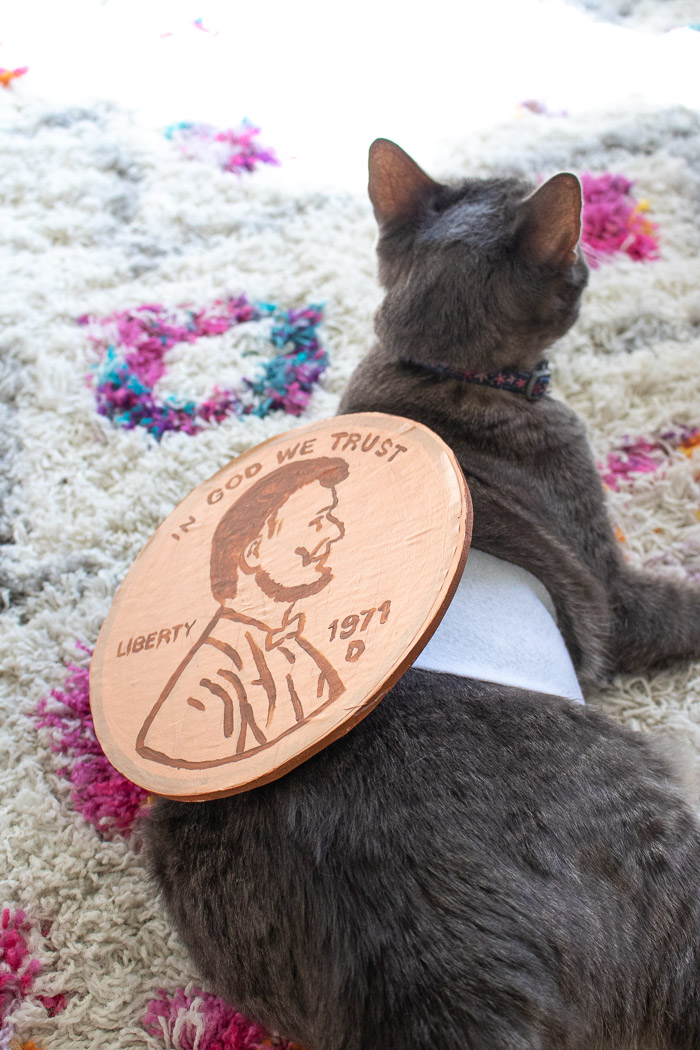 DIY Penny Pet Costume for Halloween | Club Crafted #petcostume