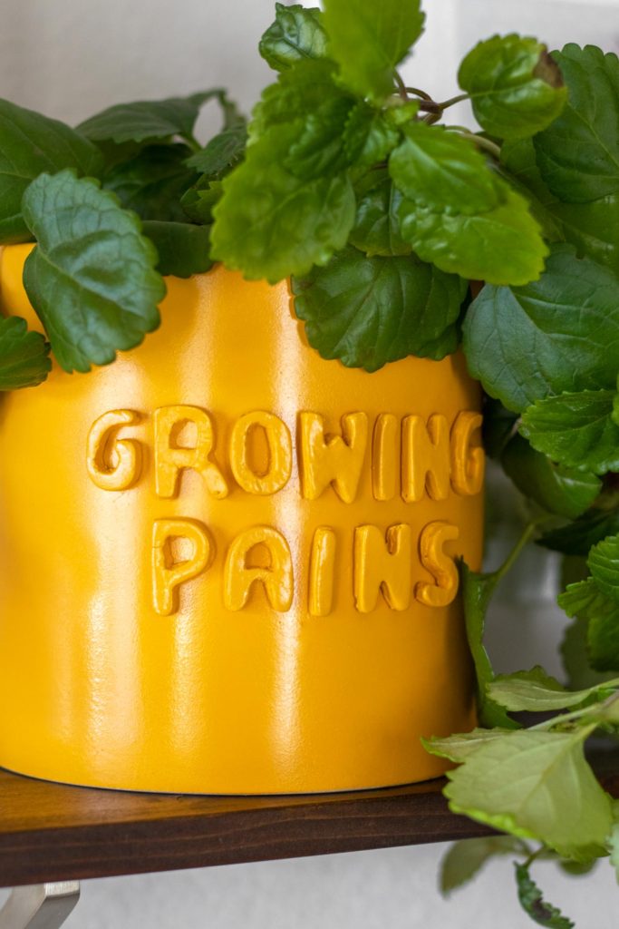 DIY 3D Graphic Planter Pots (Anthropologie Knock-Off) | Club Crafted