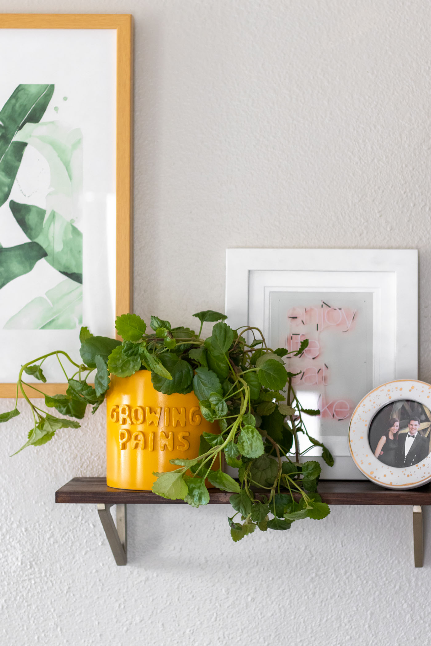 DIY 3D Graphic Planter Pots (Anthropologie Knock-Off) | Club Crafted