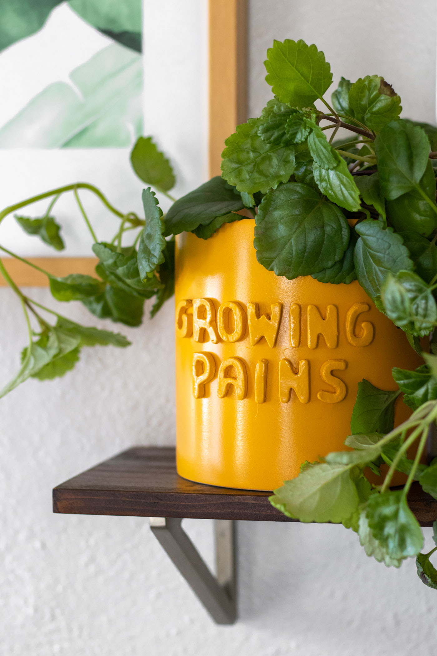 DIY 3D Graphic Planter Pots (Anthropologie Knock-Off) | Club Crafted