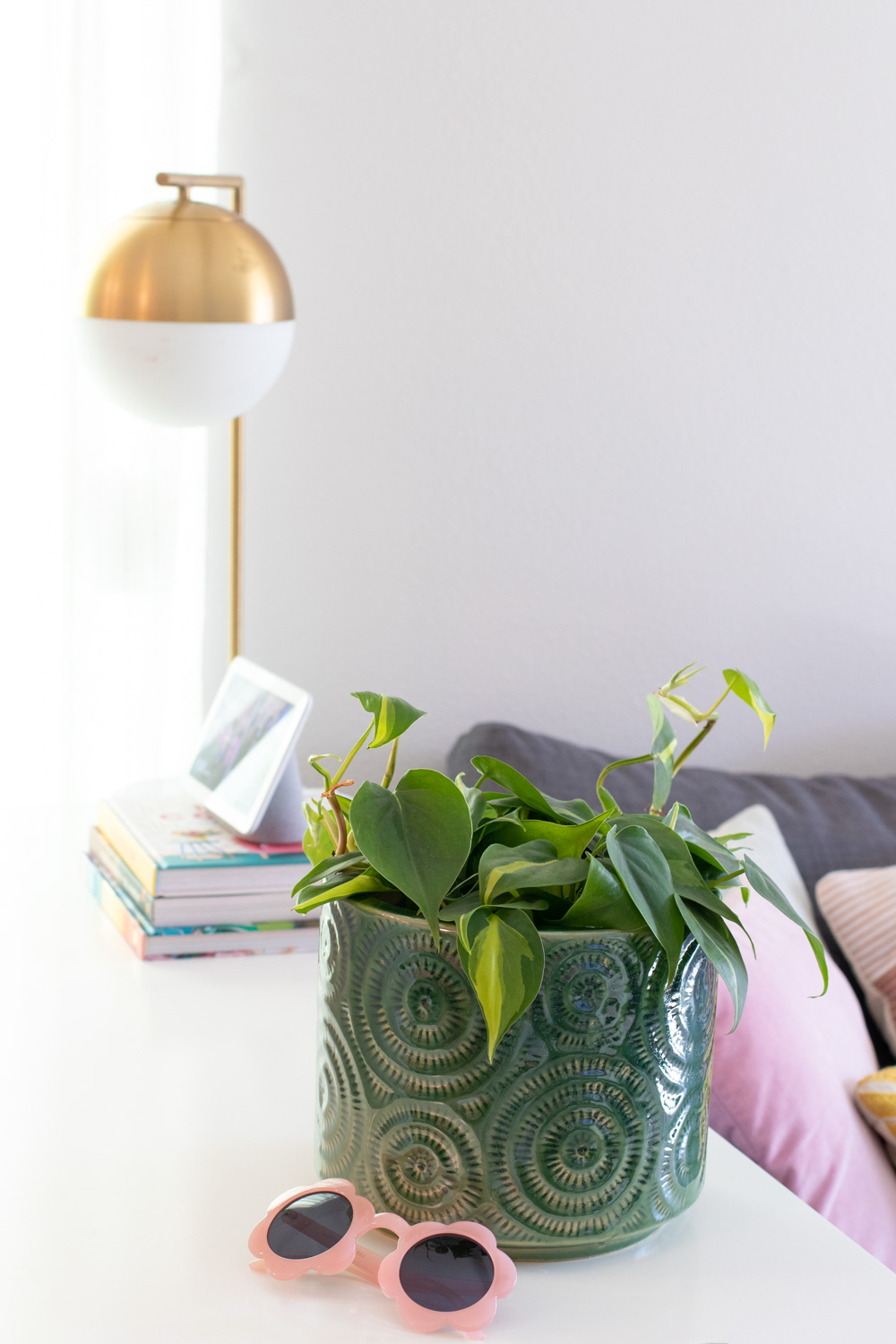 potted plant in small entryway
