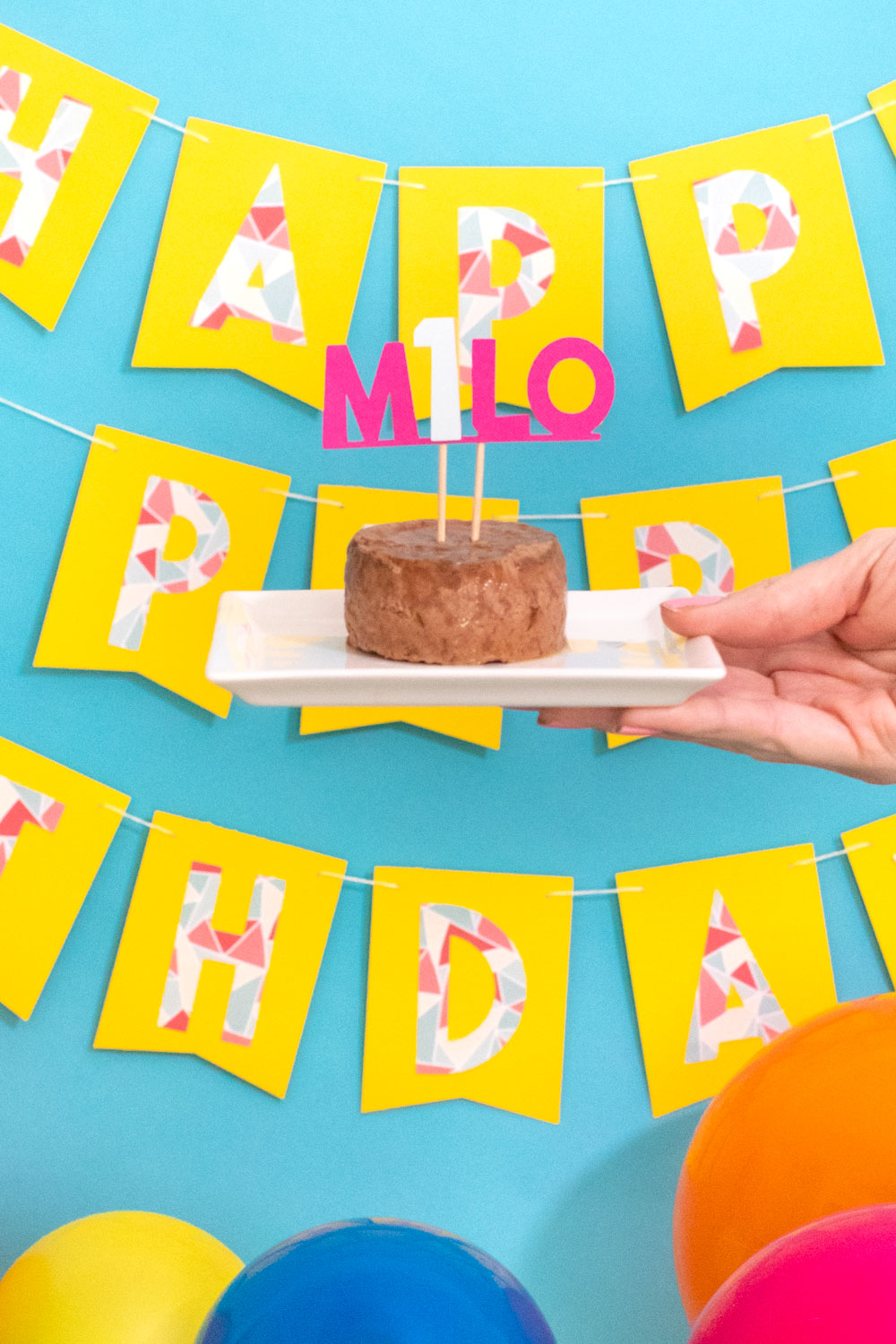 DIY cake topper on cat food for pet birthday