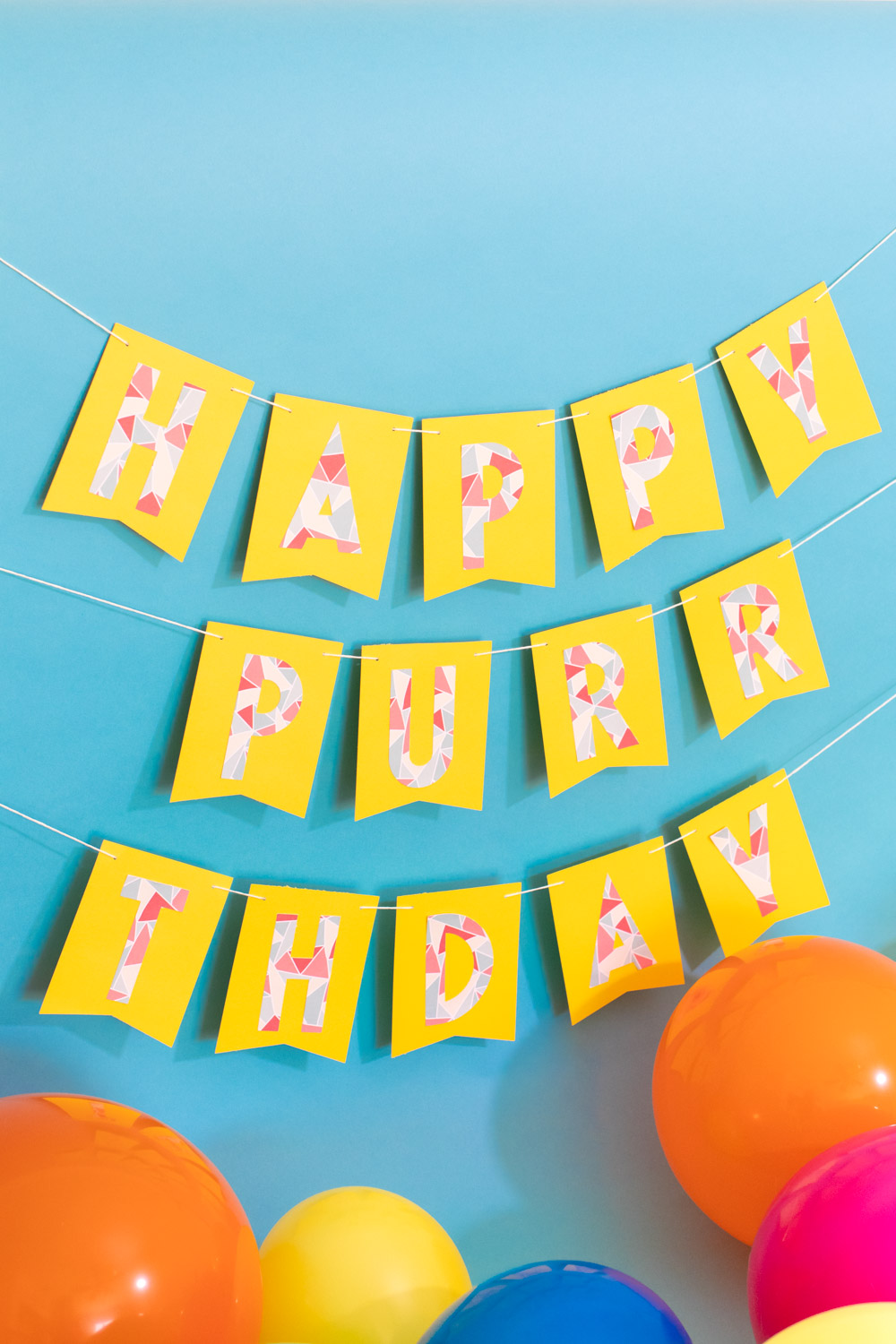 punny birthday banner on blue background for cat birthday party